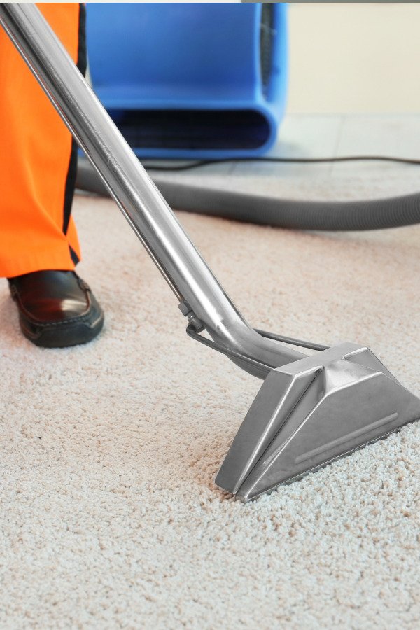 Professional cleaner providing carpet cleaning in a home