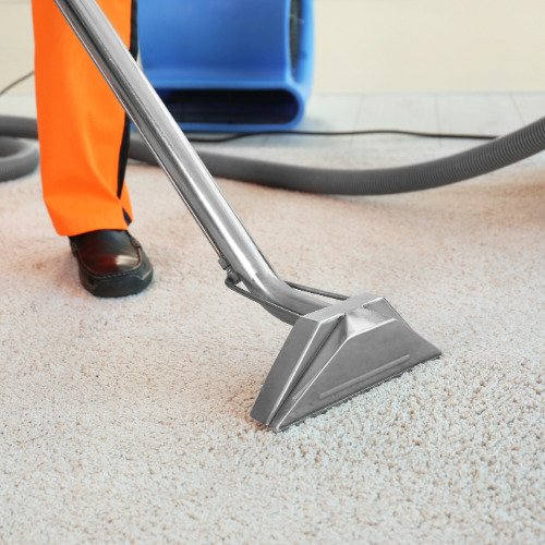 Professional cleaner providing carpet cleaning in a home