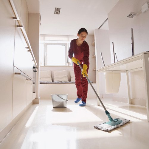 Professional cleaner preparing a ho