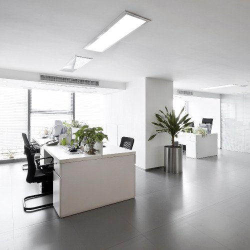 Professional cleaner providing carpet cleaning in a home